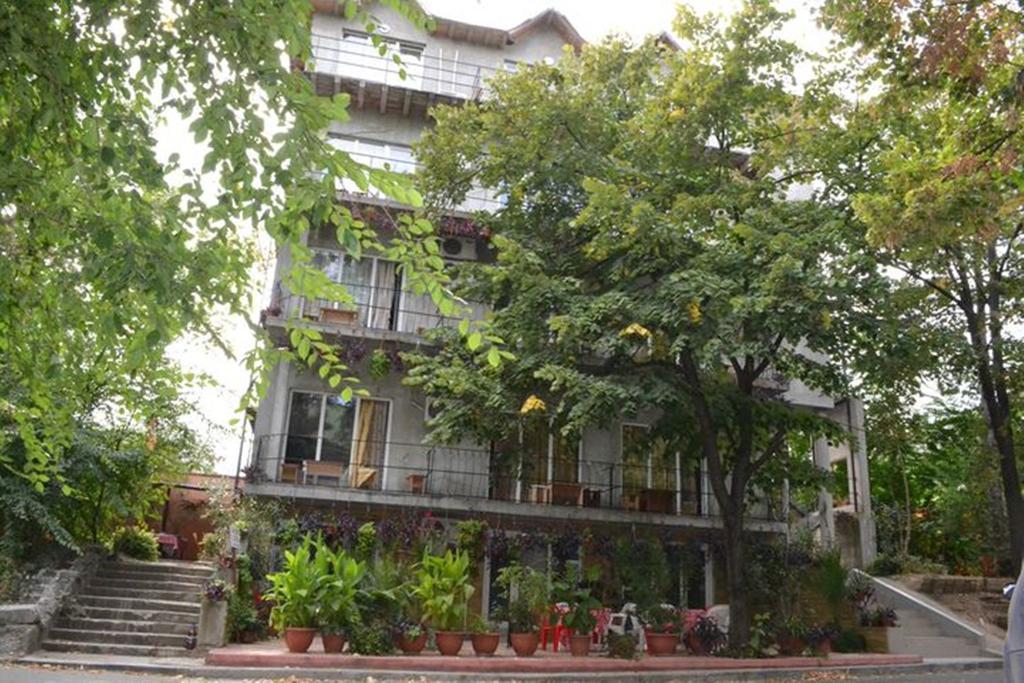 Vila Denisa Eforie Nord Εξωτερικό φωτογραφία